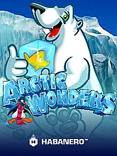 Arctic Wonders
