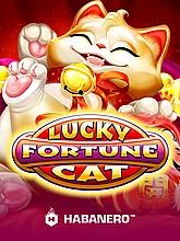 Lucky Fortune Cat